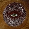(Close-up of glass eye set in emu leather)